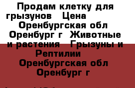 Продам клетку для грызунов › Цена ­ 1200-00 - Оренбургская обл., Оренбург г. Животные и растения » Грызуны и Рептилии   . Оренбургская обл.,Оренбург г.